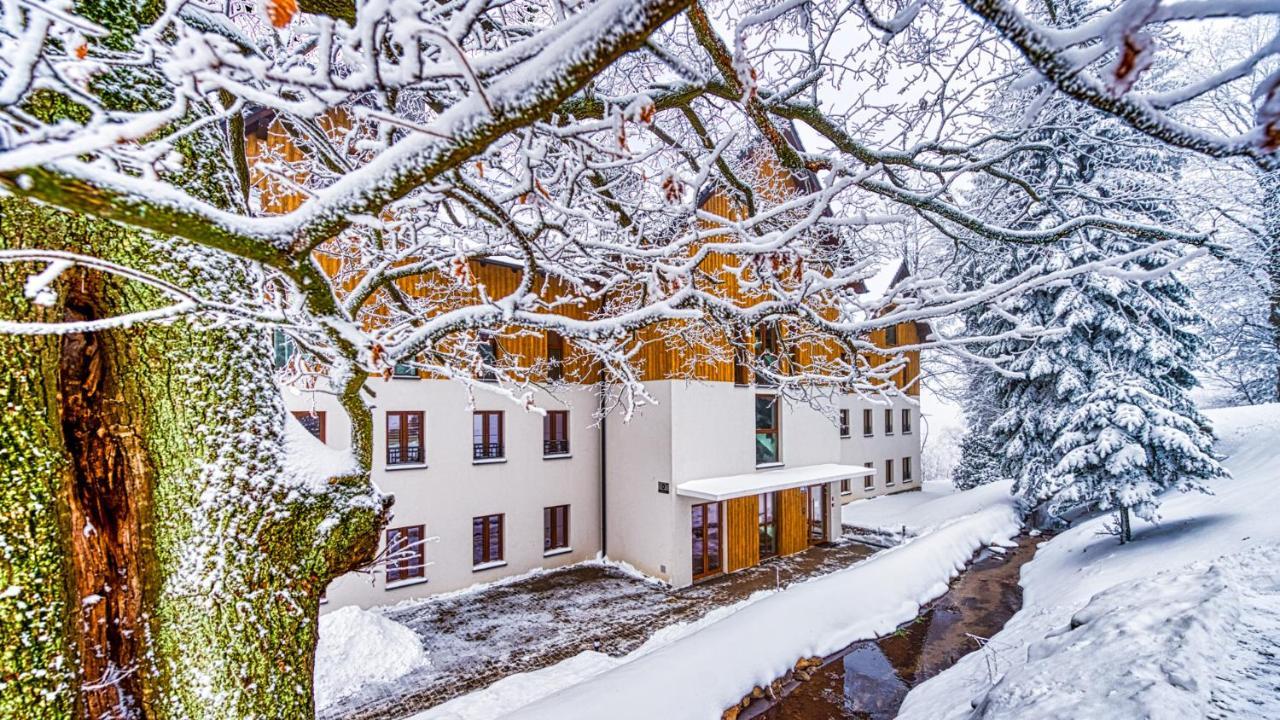 Apartament D19 Z Basenem, Sauna, Jacuzzi Green Park Resort - 5D Apartments Sklářská Poruba Exteriér fotografie